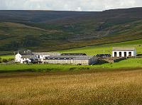 Durham moors