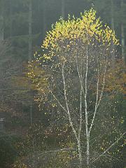 P1110952