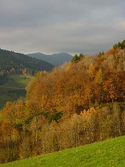P1110965