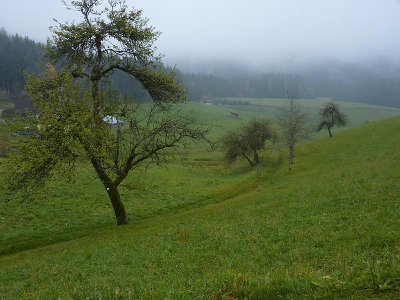 P1120042