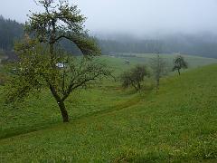 P1120042