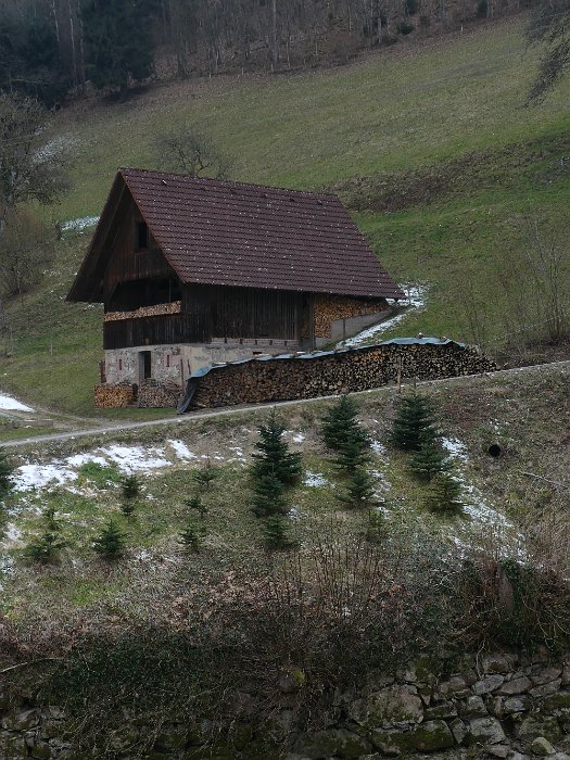 P1050793