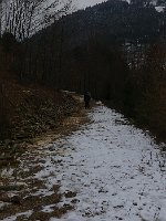 P1050784