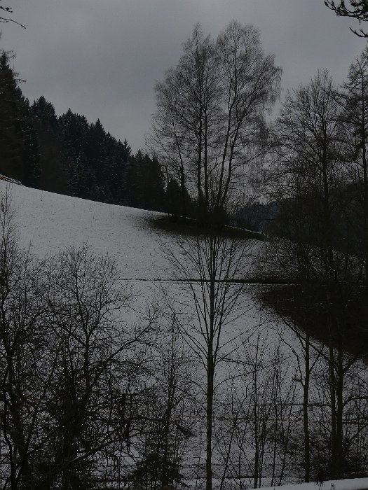 P1050375