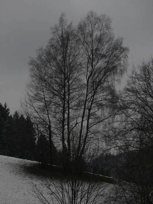 P1050376