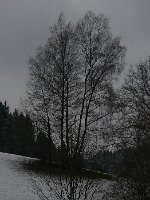 P1050376