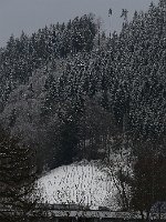 P1050397