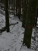 P1050401