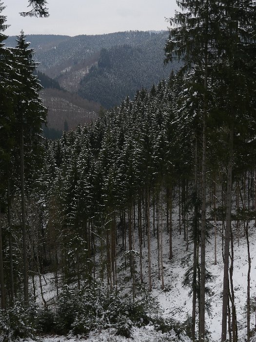 P1050670
