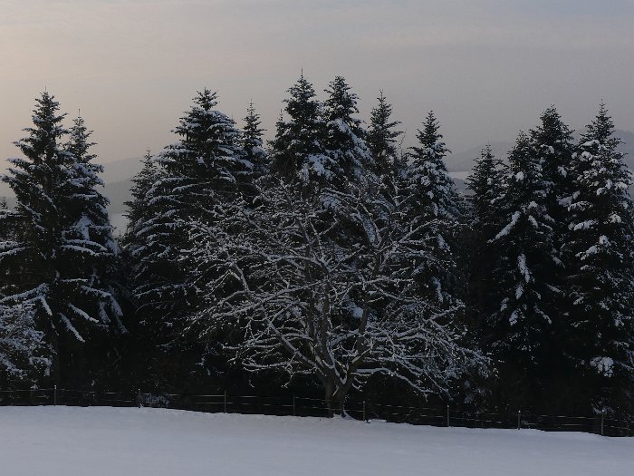 P1050561