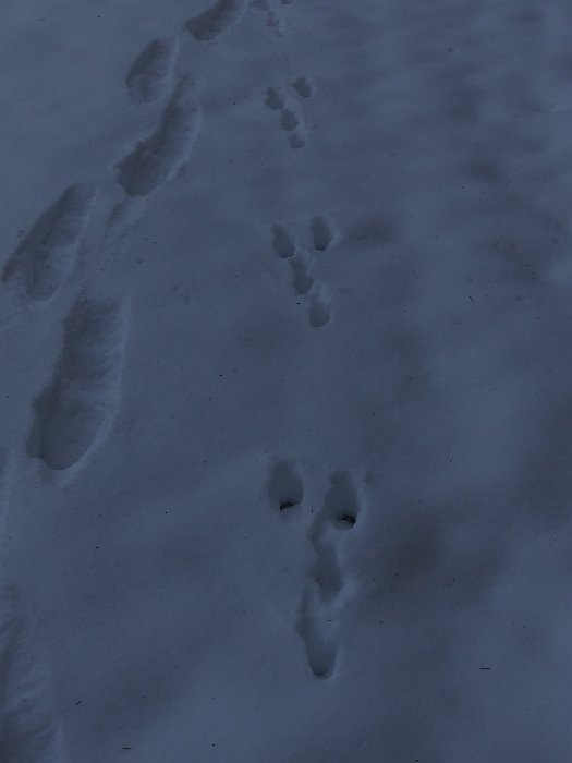 P1050564