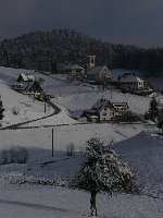 P1050529