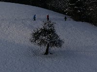 P1050540