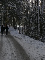 P1050544
