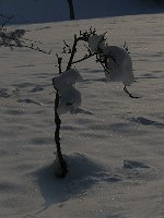 P1050547