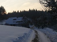 P1050559