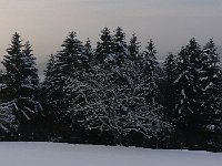 P1050561
