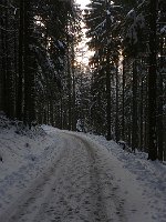 P1050562