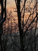 P1050568