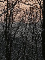 P1050570